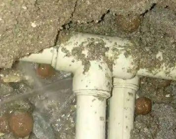 黑河市测漏水多少钱