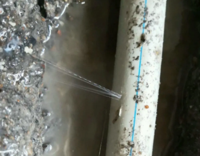 黑河市测漏水哪家好