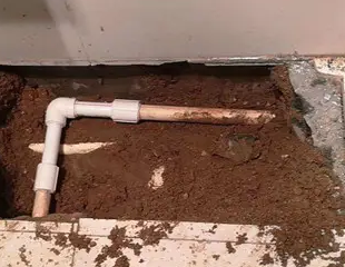 黑河市测漏水哪家好