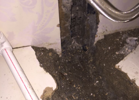 黑河市卫生间测漏水哪家好