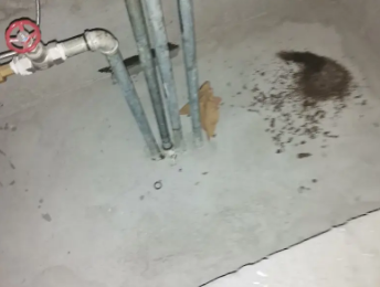 黑河市卫生间测漏水价格明细