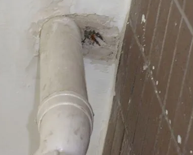 黑河市漏水检测哪家好